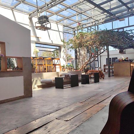 Dali Loft Travelling With Hostel Exterior photo