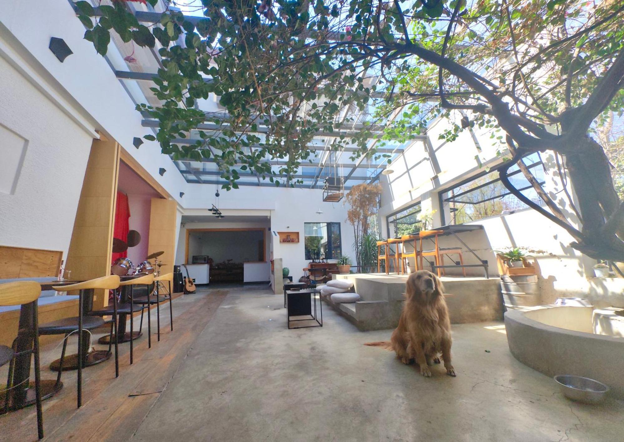 Dali Loft Travelling With Hostel Exterior photo